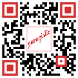 E46 325i and 323 DSSR Selector Rod 2511434613-DSSRs-grip-drift-Garagistic-bmw